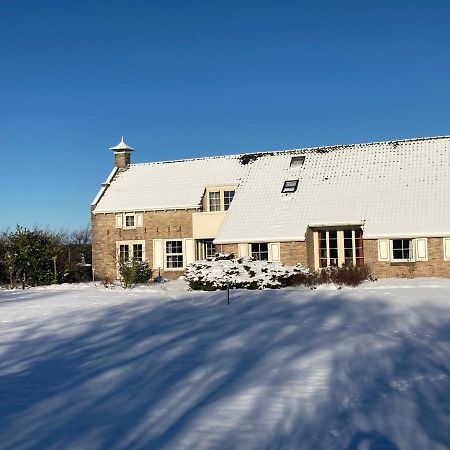 Meeuw Villa Hollum  Buitenkant foto