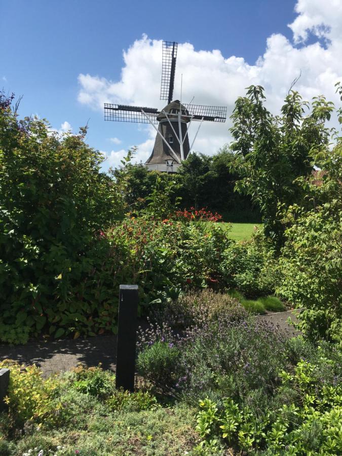 Meeuw Villa Hollum  Buitenkant foto
