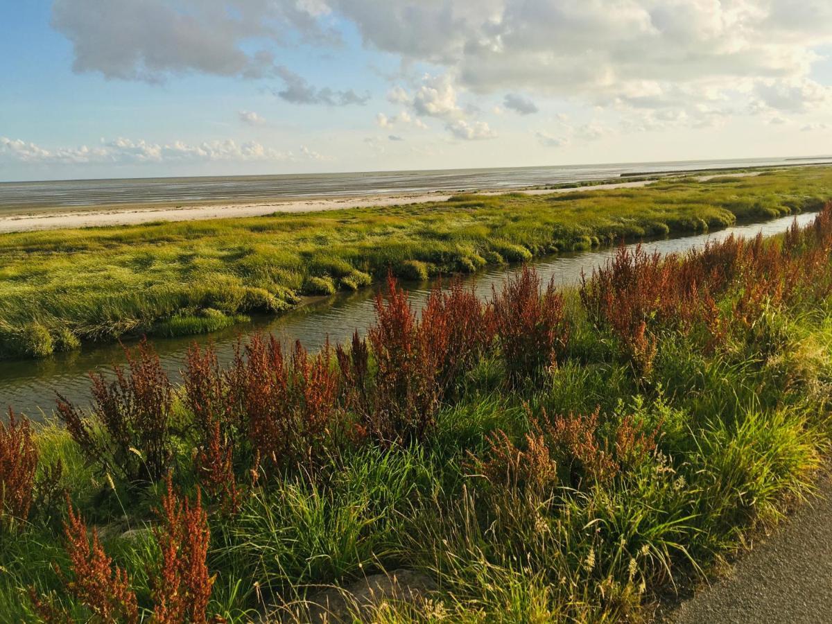 Meeuw Villa Hollum  Buitenkant foto