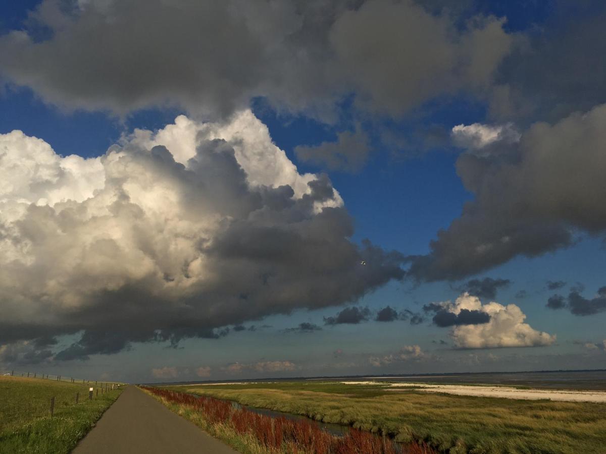 Meeuw Villa Hollum  Buitenkant foto