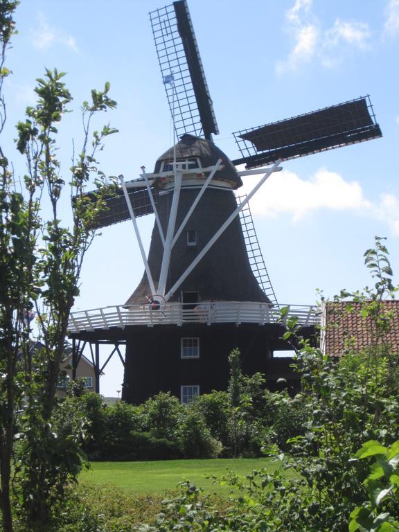 Meeuw Villa Hollum  Buitenkant foto