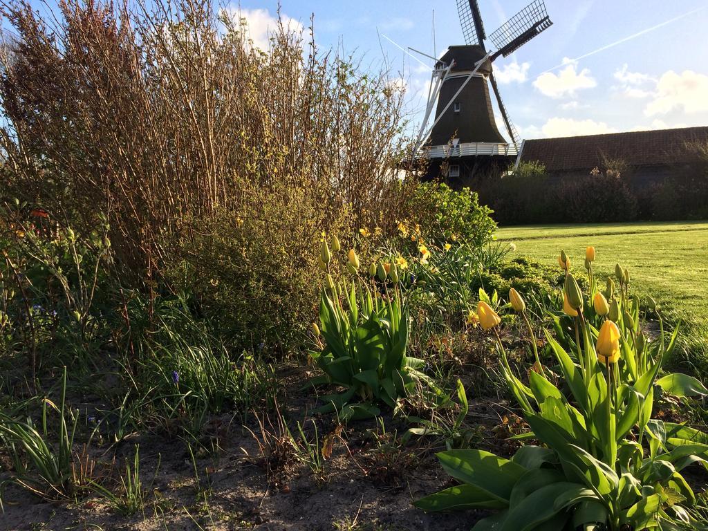 Meeuw Villa Hollum  Buitenkant foto